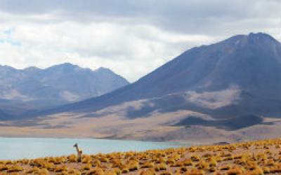 Mountains to the Sea: Ecosystems of Chile