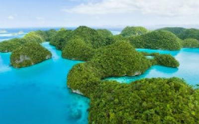 Ridge to Reef: Sustainable Resource Management in Palau