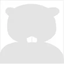 No Photo