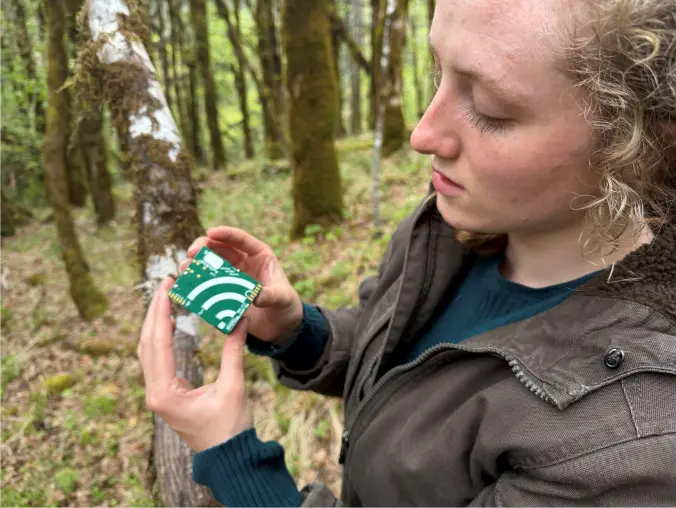 A person holds a small green and white device with a Wi-Fi symbol in a forest setting. 